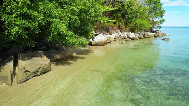 Clear Tropical Lagoon Along Forest Shore