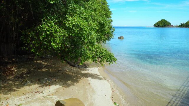 Small Tropical Beach Framed by Trees