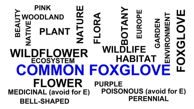 Common Foxglove Word Cloud