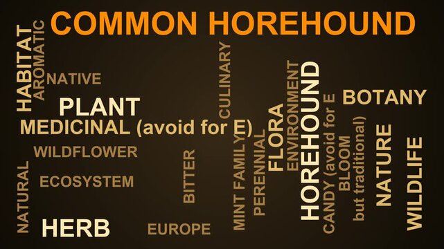 Common Horehound Word Cloud