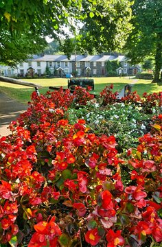 Red Flowers and Village Green in Beddgelert, Snowdonia, Wales