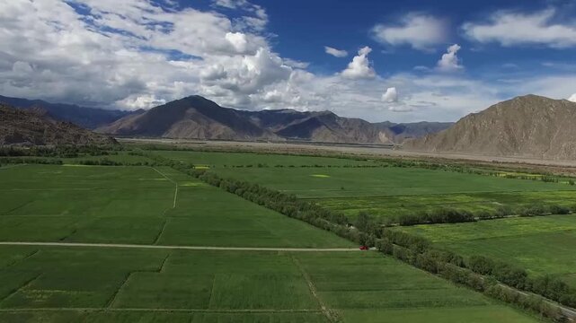 Aerial drone view of a rural road cutting through golden and green agricultural fields in Tibet, with herd of livestock moving along the path and distant mountain ranges under a partly cloudy sky