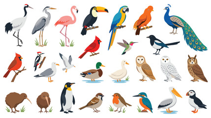 Fototapeta premium Set of diverse colorful cartoon birds collection standing on white background for design.