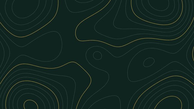 Topographic terrain contour lines elevation loop