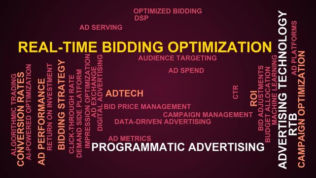 Real-Time Bidding Optimization Word Cloud