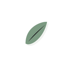 Fototapeta premium Single sculpted botanical leaf with vein detail