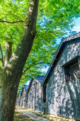 山形県 酒田の山居倉庫  © rujin