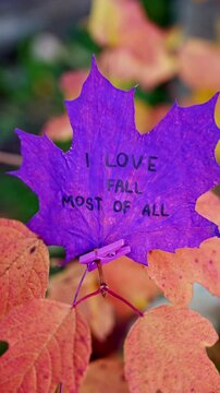 Autumn leaves painted in bright vivid colors on backdrop of seasonal trees. Decorative foliage features handwritten text I LOVE FALL MOST OF ALL lettering. Warm fall tones, woodland scenery and