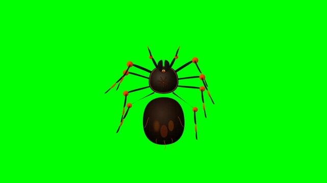 3D rendered spider illustration on a vibrant green screen background for easy compositing.