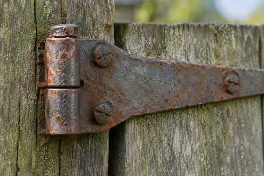 Rusty iron hinge fixed to a weathered wooden gate