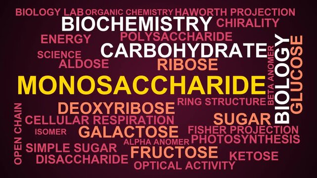 Monosaccharide Word Cloud