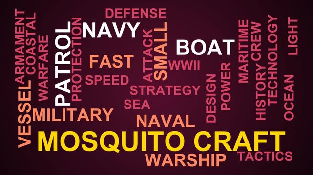 Mosquito Craft Word Cloud