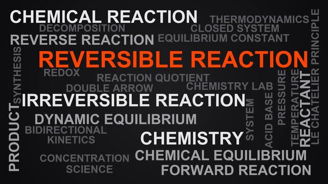 Reversible Reaction Word Cloud