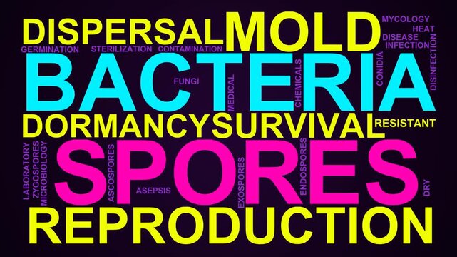 Spores Word Cloud