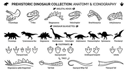 Prehistoric Dinosaur Anatomy and Iconography Collection © hiur