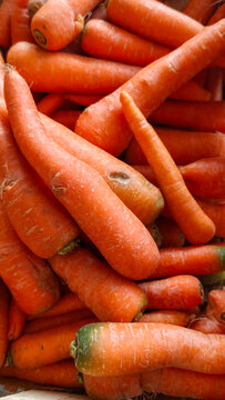 Pile of fresh carrots