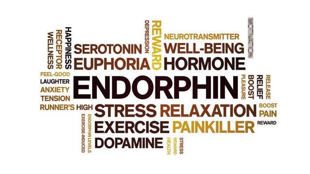 Endorphin animated word cloud-text design animation tag kinetic typography seamless loop.
