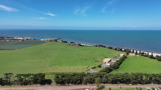 Aerial drone of agricultural and coastal landscape of Werribee South, Melbourne, Victoria, Australia. Green grazing paddocks, farm sheds, windbreak pine trees, and cultivated fields bordering beach