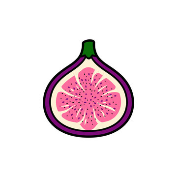Sliced fig fruit icon with detailed seeds.