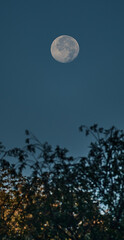 Full moon over blue sky. © Jan