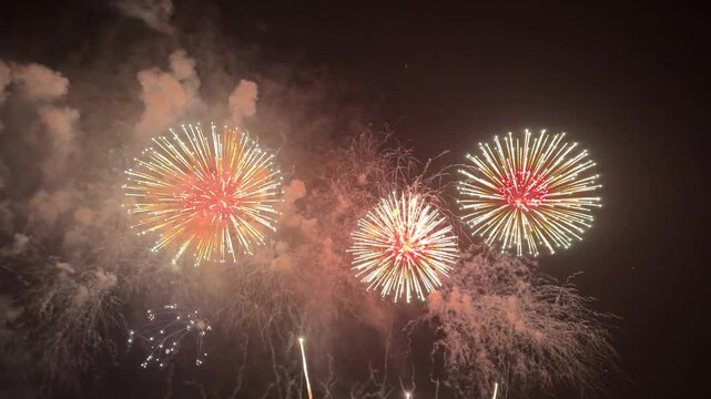 Radiant multi-color firework exploding into thousands of bright sparks.