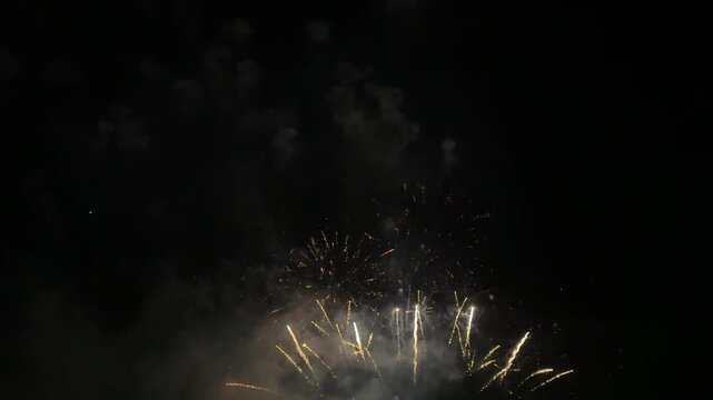 A bright colorful firework showing an impressive pyrotechnic display.