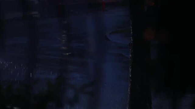 Rain falling on wet pavement beside a tree trunk at night with illuminated grass and red light reflection