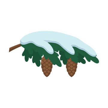 Green pine tree branch with brown cones covered in white snow for winter holiday season Vector