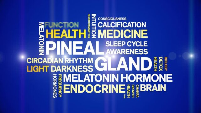 Pineal Gland animated word cloud-animation tag kinetic typography seamless loop.