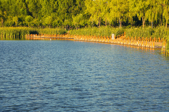 Autumn reeds in the lake