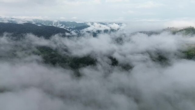 Misty Mountain Forest Landscape, Layered Green Ridges, Cloud Covered Valley, Aerial Fog Drifting Through Remote Wilderness, Serene Nature Scene Under Soft Gray Sky