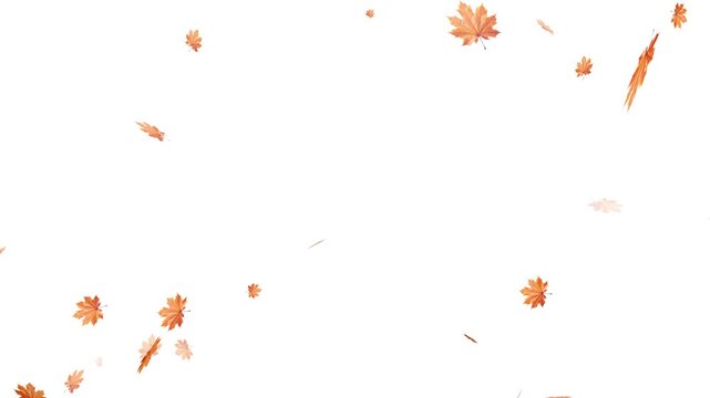 Falling autumn leaves backgrounds - isolated and loopable, Maple Leaf falls animation. Autumn maple leaves fall in the background. Maple Leaves Falling with Alpha Channel. Maple leaves falling 