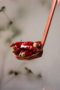 Dried chili peppers, a traditional spice: indoor close-up photography.