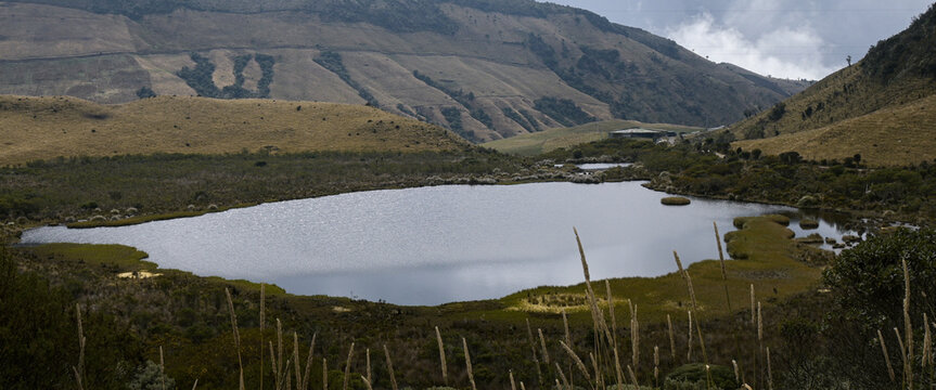 Mountain lagoon in high Andean paramo under cloudy sky, Colombia