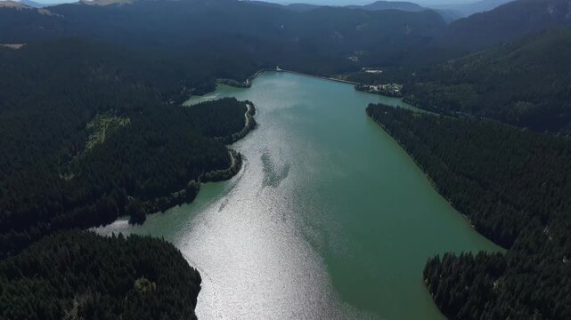 A high-altitude drone shot capturing the full scale of Bolboci lake reservoir surrounded by endless pine forests in Bucegi mountains, Romania.