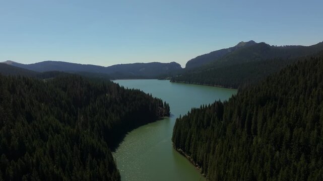 Wide establishing drone shot over a scenic green mountain lake surrounded by dense pine forests under a clear blue sky in Bucegi, Romania