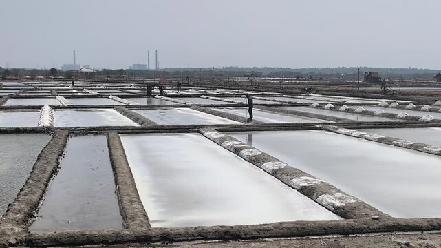 Salt farmers are harvesting salt against the backdrop of salt pans