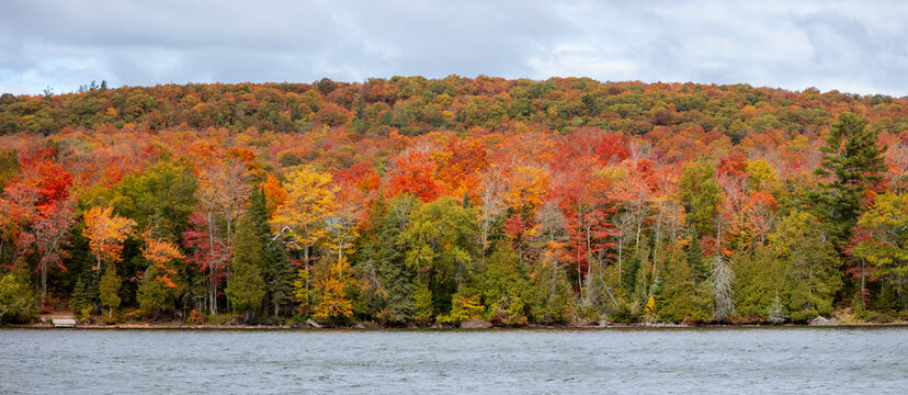 Autumn forest with vibrant colors along lake Medora in Michigan Upper peninsula
