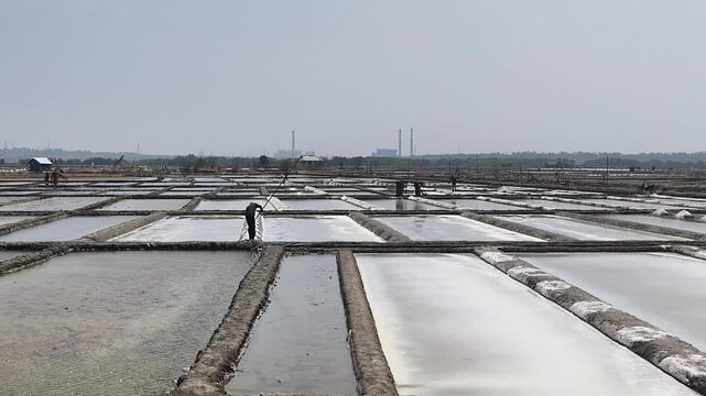 Salt farmers are harvesting salt against the backdrop of salt pans