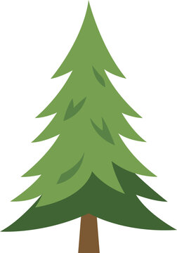 Illustration fo pine tree for holiday design on december.