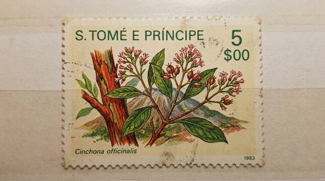 S Tome e Principe Cinchona Officinalis Stamp with Floral Branch and Mountain Landscape
