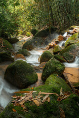 A serene forest stream flowing over moss-covered rocks © k33pcalmncapture