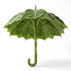 Fototapeta premium Umbrella Made With Leaf 