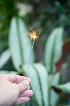 Hand holding glowing sparkler firework creates bright light and spark for joyful celebration, framed by lush green garden plant with leaf foliage