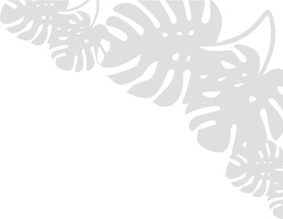 Fototapeta premium Tropical Leaves Shadow Corner
