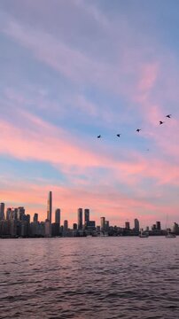 Evening in Toronto - beautiful blue with pink clouds sky, wild Canada geese flying to their roosting spot, the downtown skyline, and a calm lake. Vertical video, handheld shot. Toronto, Ontario, Canad