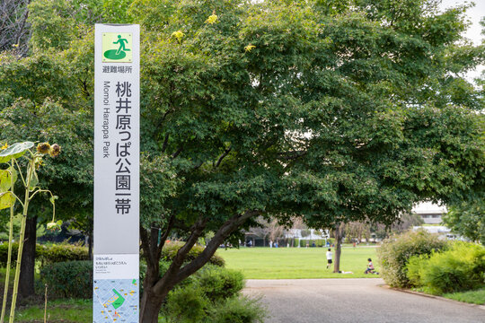 SUGINAMI-KU, TOKYO, JAPAN - SEPTEMBER 22, 2026: Park name standing signboard and wide grassy lawn field of Momoi Harappa Park in Suginami-ku, Tokyo.