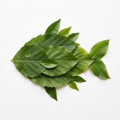 Fototapeta premium Fish Made With Leaf 