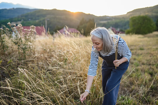 Senior woman enjoying gentle outdoor activity and connection with nature.