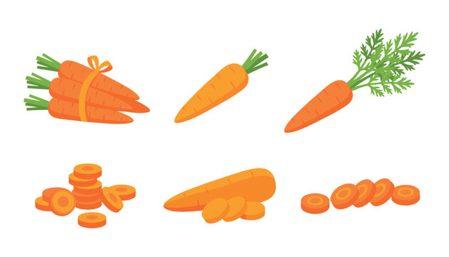 Carrot flat icon vector set. Fresh orange carrots with green tops, whole root vegetables, chopped slices, stacked round pieces, raw organic food, isolated harvest agriculture elements.